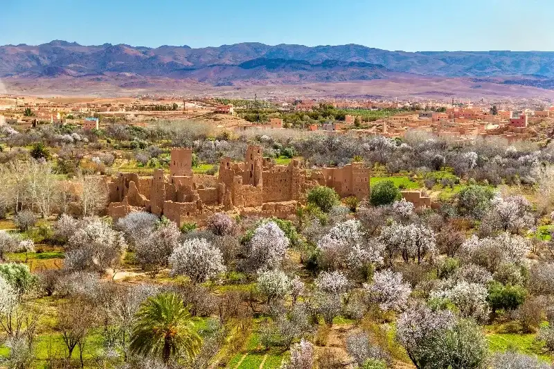 tour marocco 10 giorni